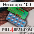 Низагара 100 new03